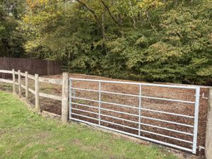 Photo 5- click for photo gallery